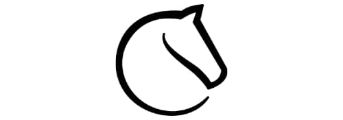 lichess.org Logo